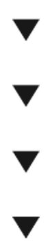 QMS System Arrow